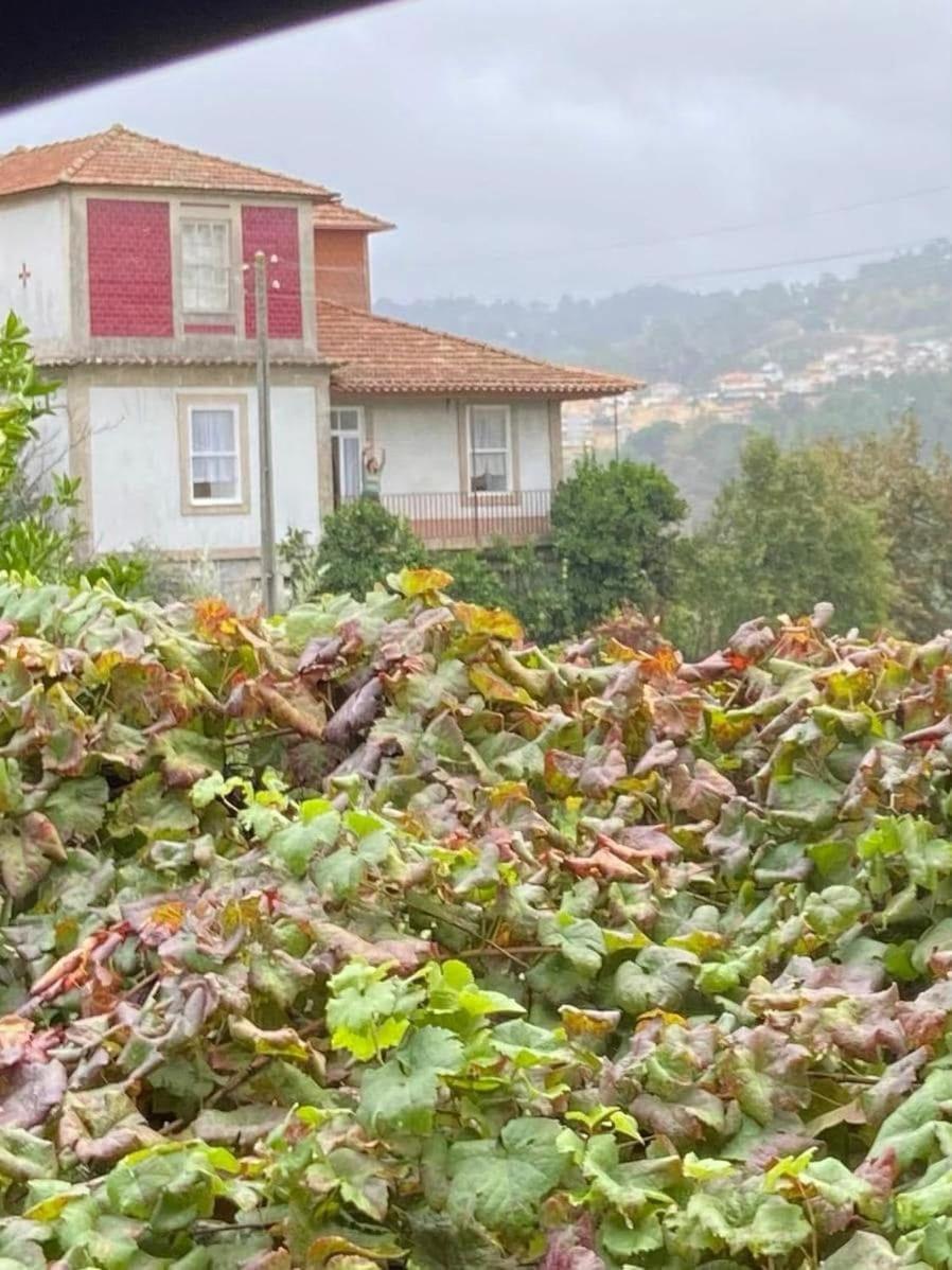 Willa Quinta Da Chentuada Amarante Zewnętrze zdjęcie